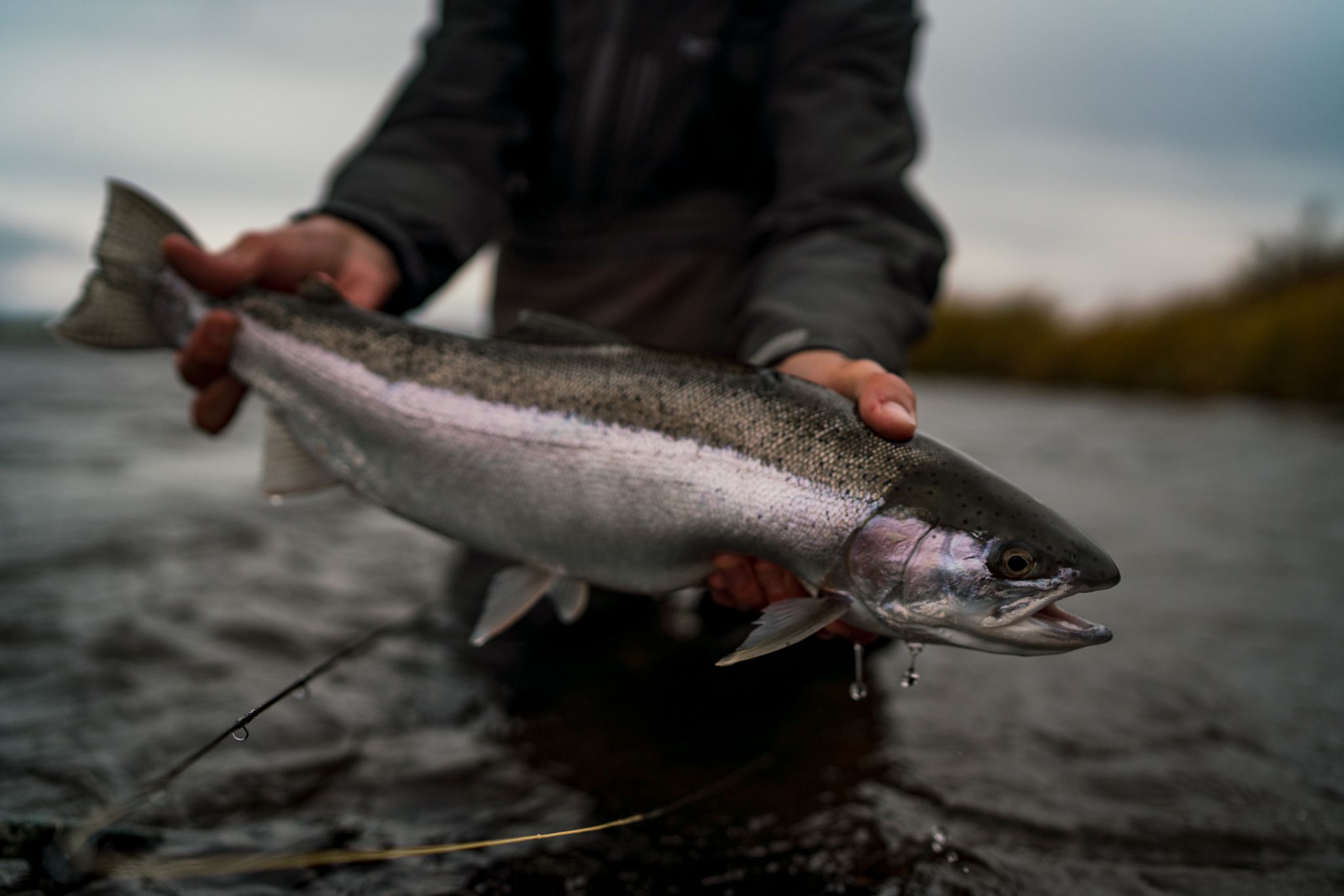 Micro spey trout fishing in Alaska - Alaska Fly Fishing Trips