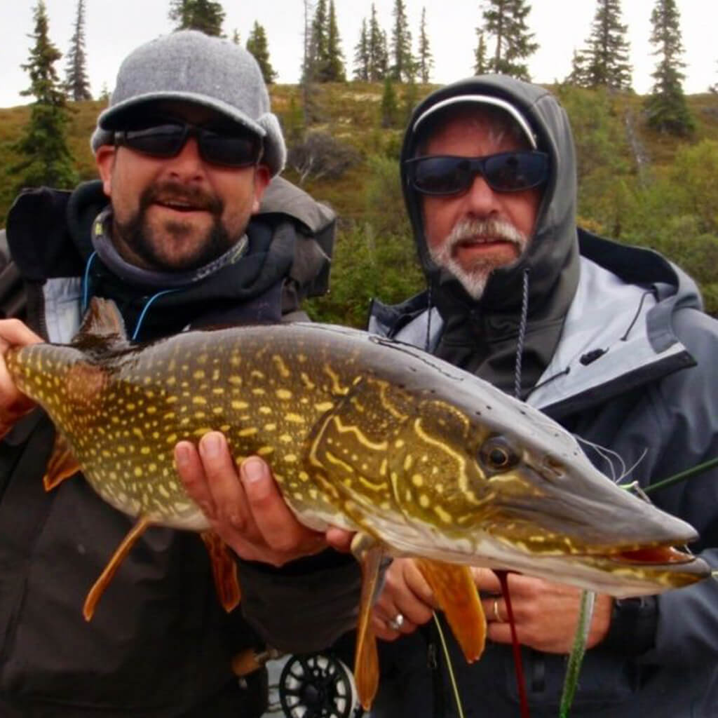 northern-pike-1024x1024